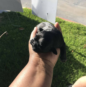 Meet your Posher, Jane